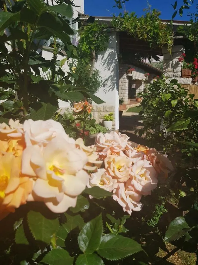 Vila Casa Istria Buje Chorvatsko